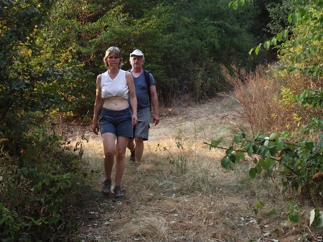 img00079.jpg