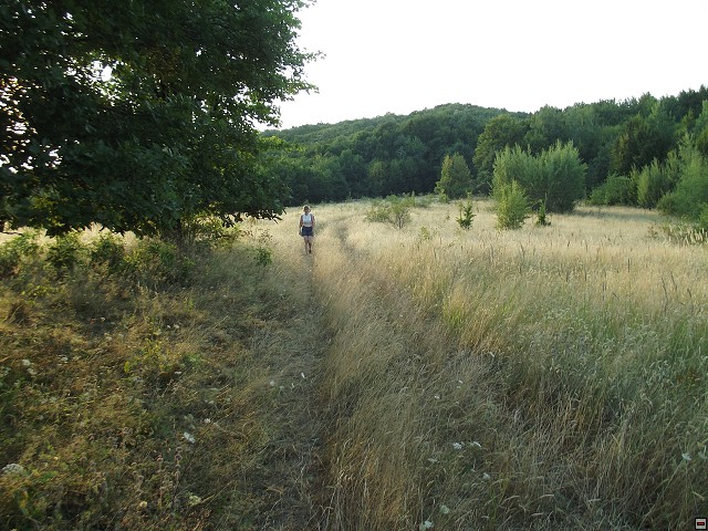 img00080.jpg