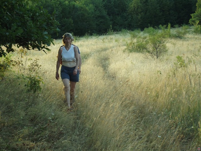 img00081.jpg