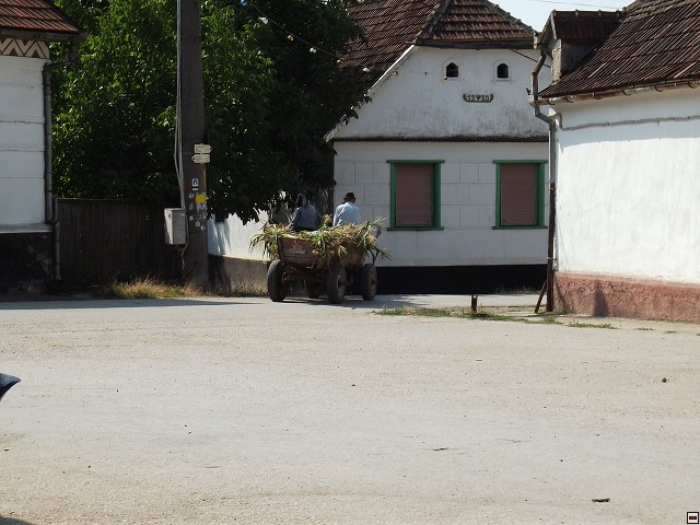 img00086.jpg