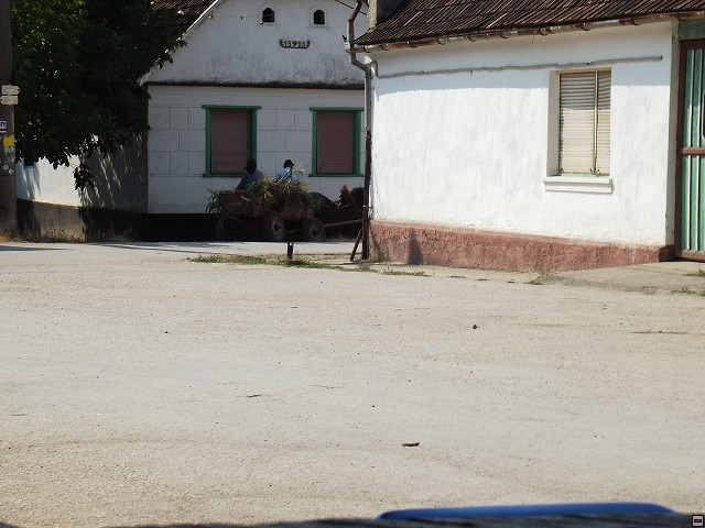img00087.jpg