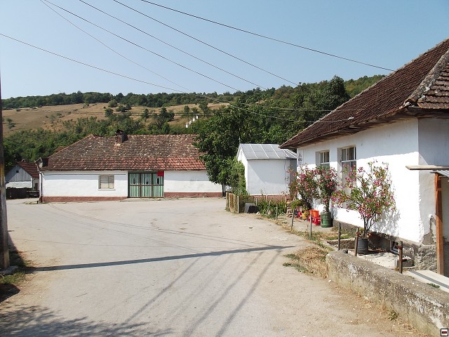 img00088.jpg