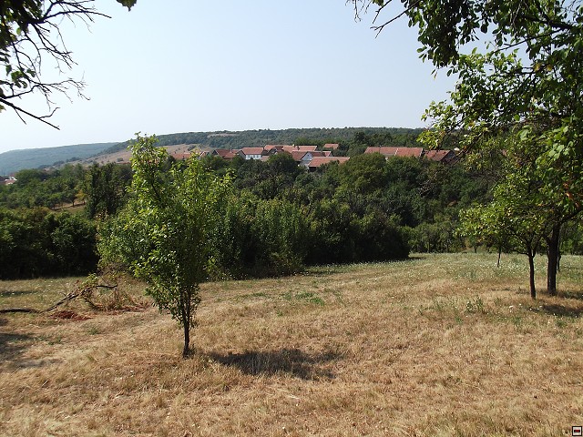 img00092.jpg