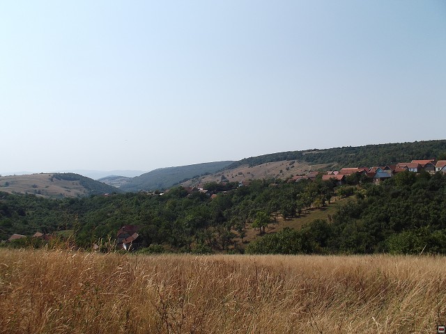 img00093.jpg