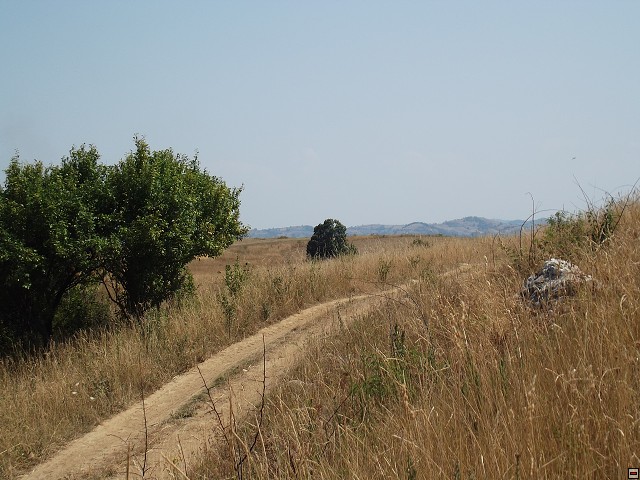 img00095.jpg