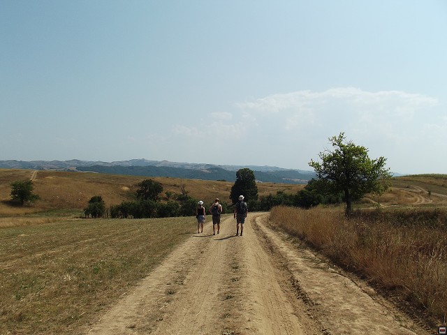 img00097.jpg