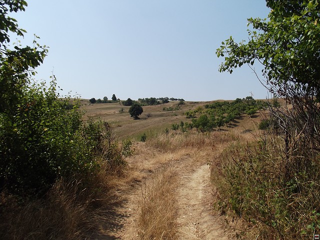 img00104.jpg