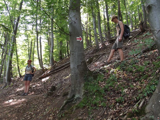img00107.jpg