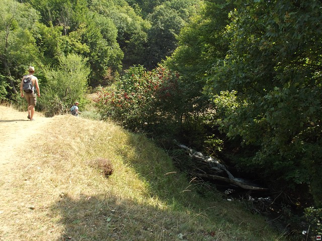 img00108.jpg