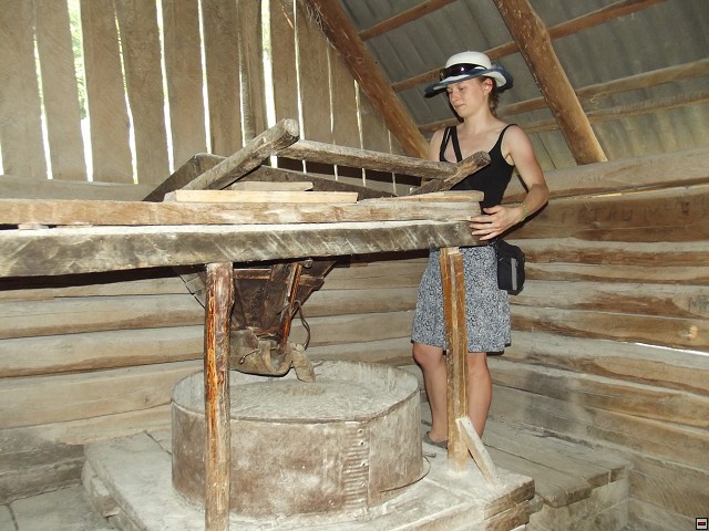 img00113.jpg