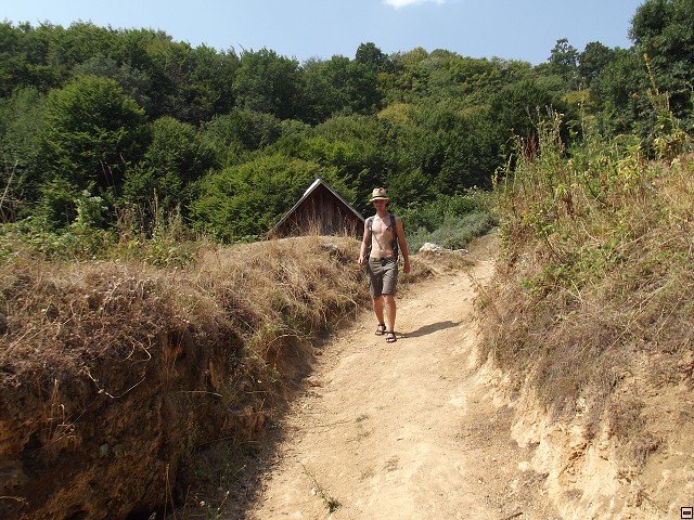 img00118.jpg