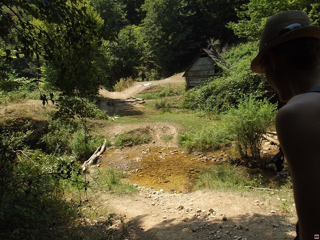 img00121.jpg