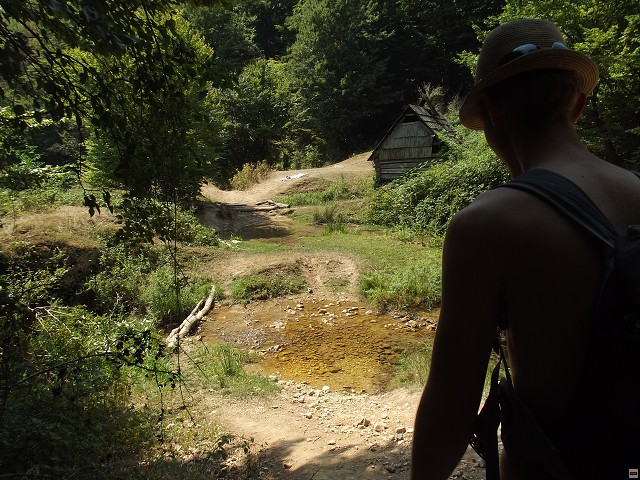 img00122.jpg