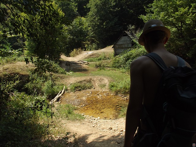 img00123.jpg