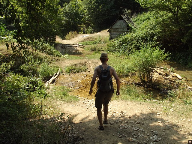 img00126.jpg