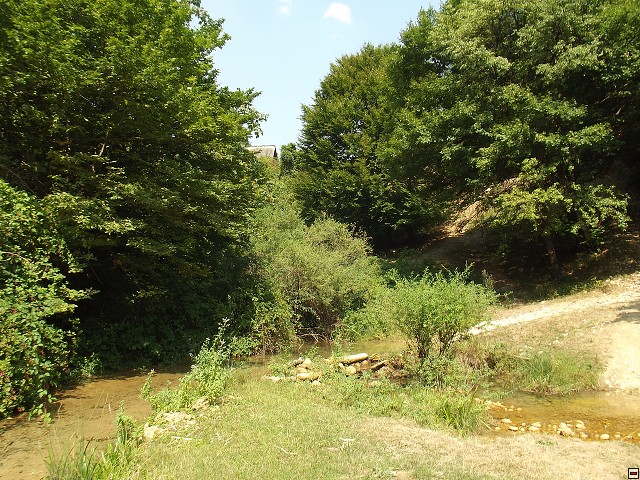img00132.jpg