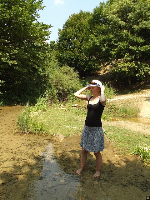 img00134.jpg