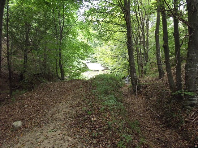img00148.jpg