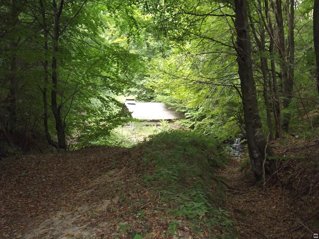 img00149.jpg