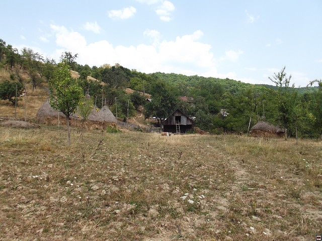 img00151.jpg