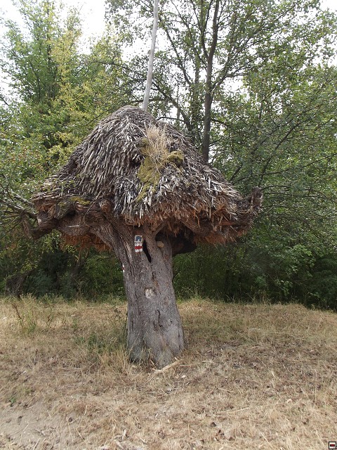 img00153.jpg