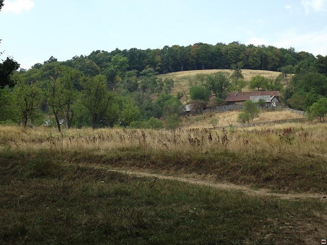 img00155.jpg