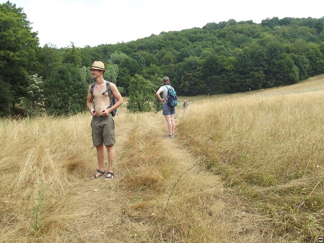 img00156.jpg