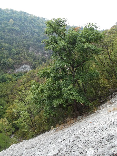 img00158.jpg