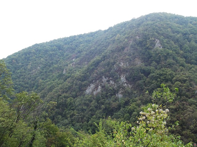 img00159.jpg