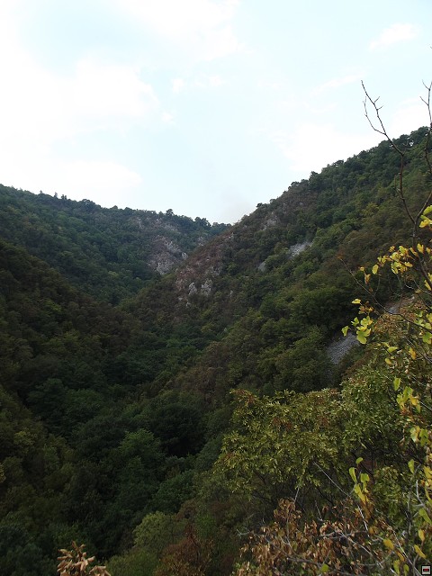 img00161.jpg