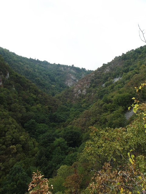 img00162.jpg