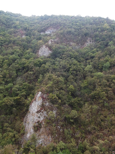 img00163.jpg