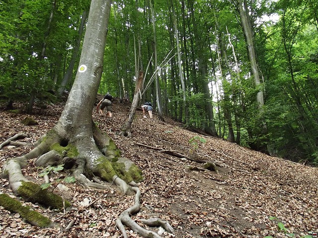 img00166.jpg