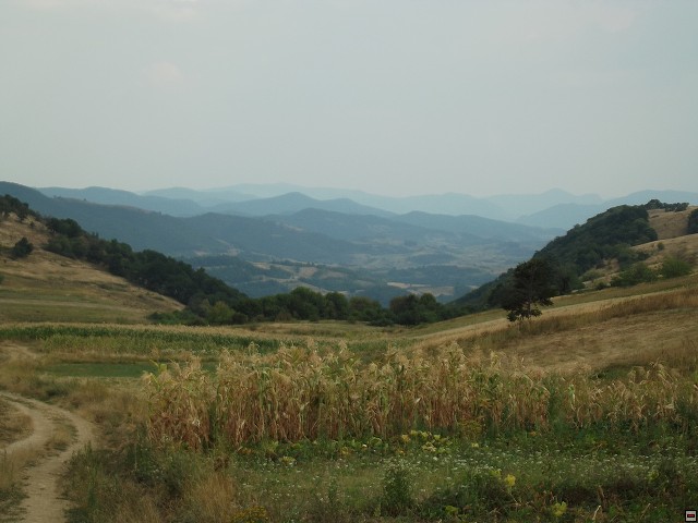 img00169.jpg