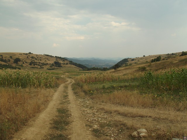 img00170.jpg