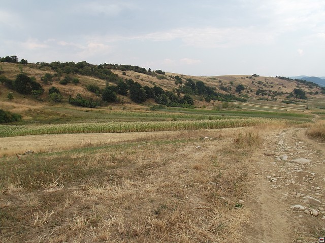 img00171.jpg