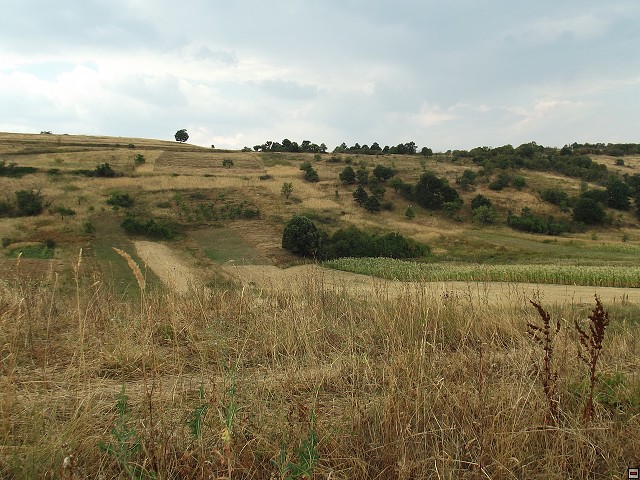 img00173.jpg
