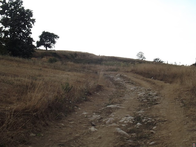 img00174.jpg