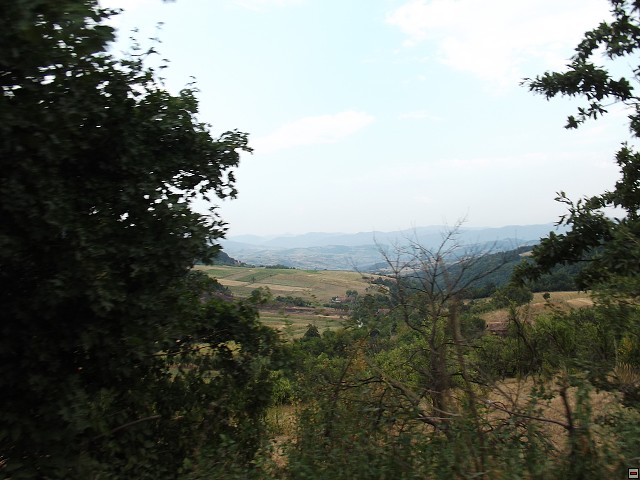 img00176.jpg
