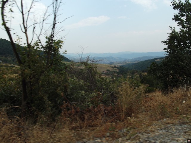img00177.jpg