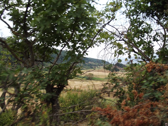 img00179.jpg