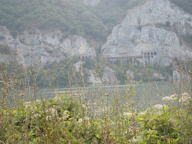 img00186.jpg