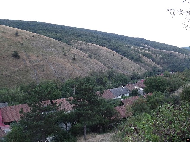 img00195.jpg