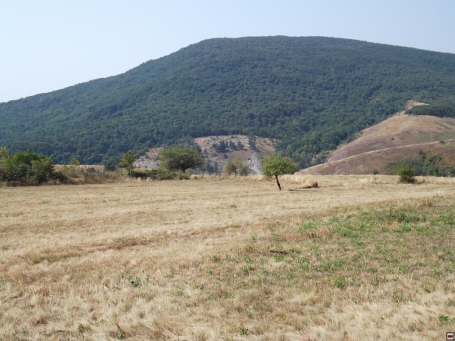 img00204.jpg