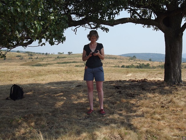 img00205.jpg