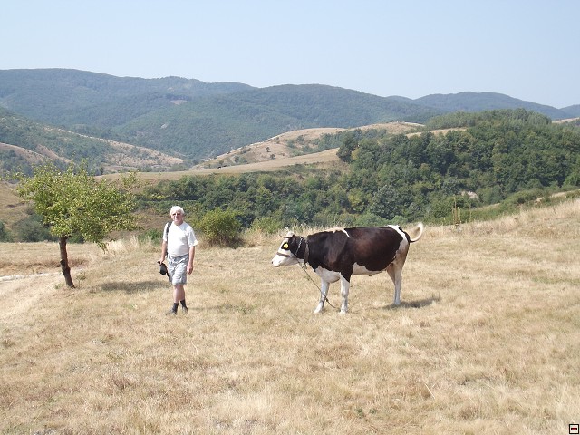 img00213.jpg