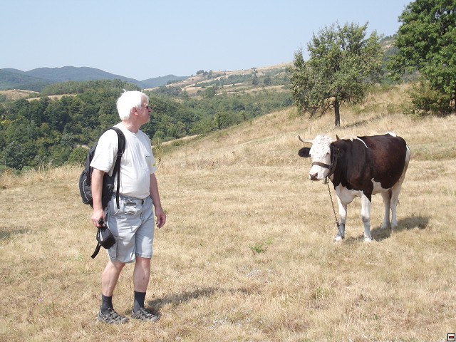 img00214.jpg