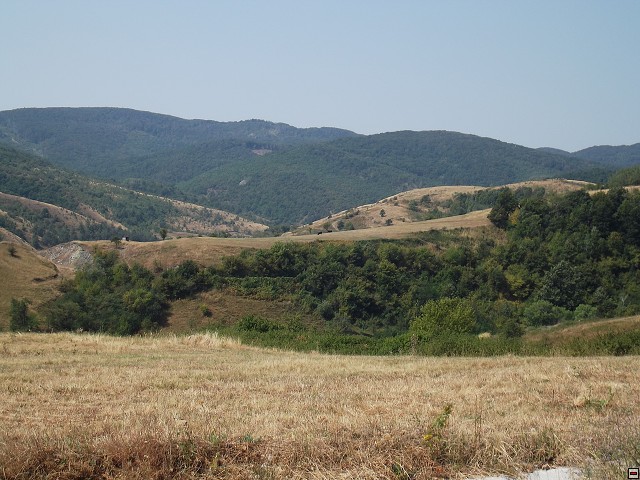 img00216.jpg