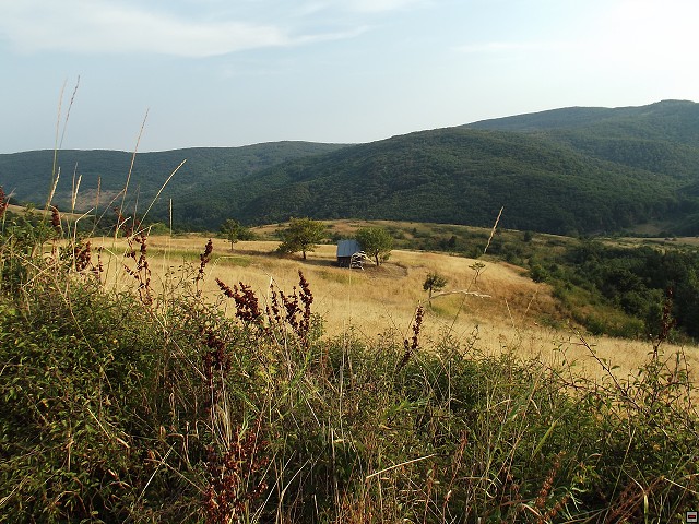 img00217.jpg