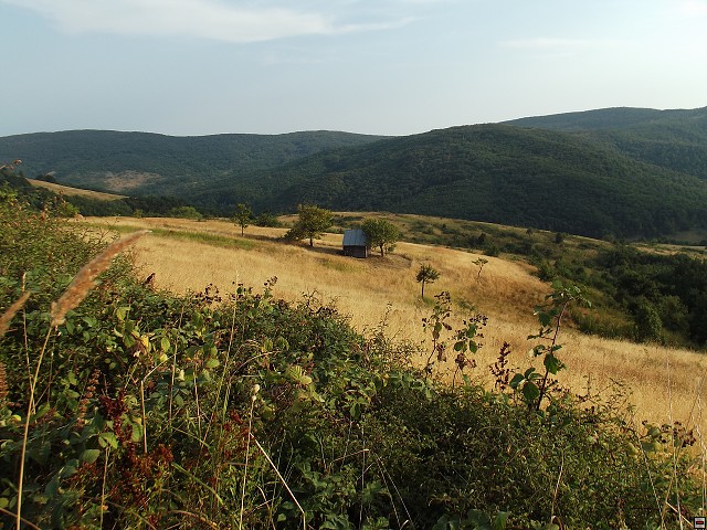 img00218.jpg